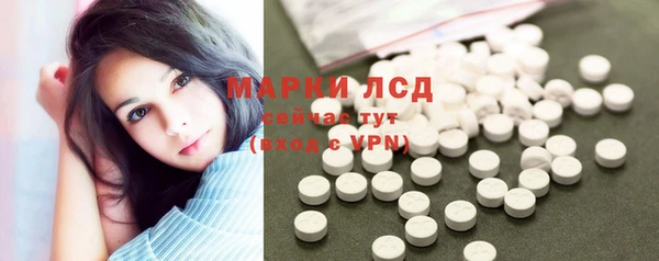 прущие грибы Михайловка