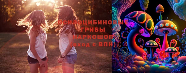 стаф Михайлов